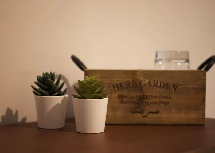 Guest house 6th Land - Rent